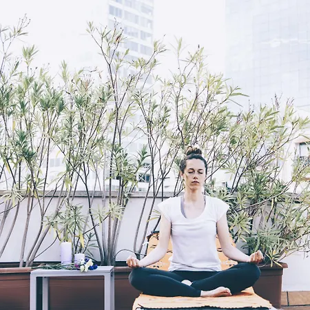 Apartamento Limehome Rector Triadó *